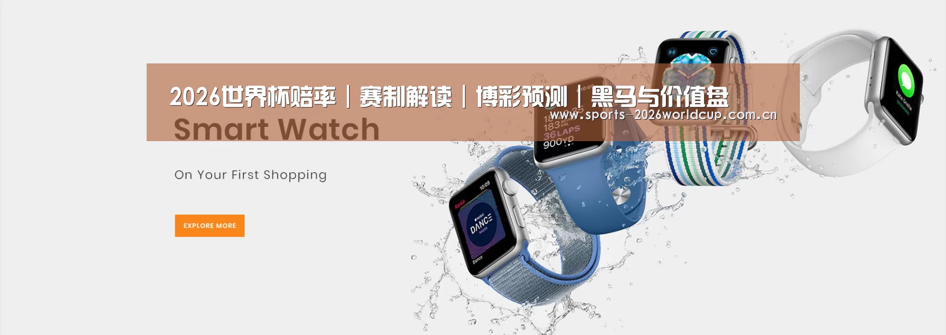 某某网络科技有限公司