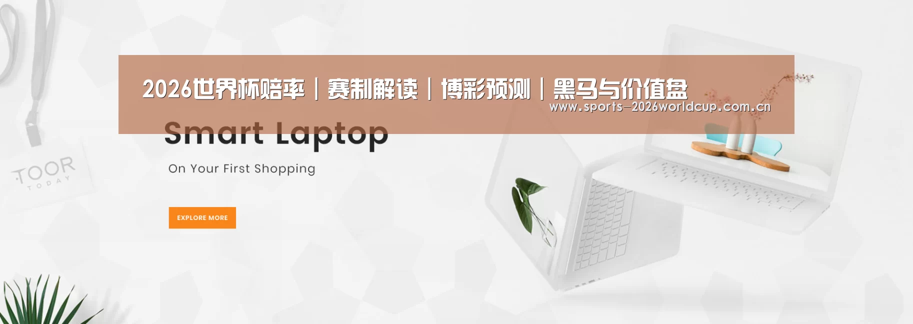 某某网络科技有限公司