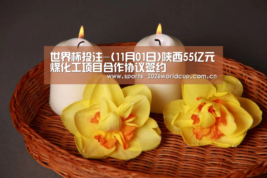 世界杯投注-(11月01日)陕西55亿元煤化工项目合作协议签约(图1) 世界杯投注