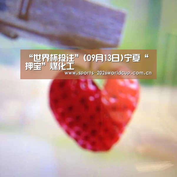 “世界杯投注”(09月13日)宁夏“押宝”煤化工(图1) 世界杯投注