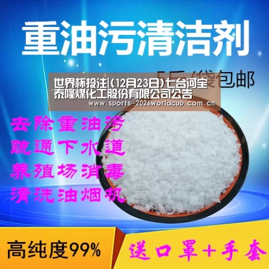 世界杯投注|(12月23日)七台河宝泰隆煤化工股份有限公司公告(图1) 世界杯投注