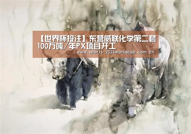 【世界杯投注】东营威联化学第二套100万吨/年PX项目开工(图3) 世界杯投注